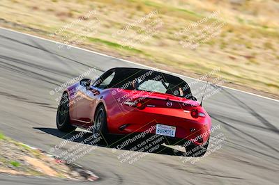 media/Mar-23-2025-West Coast Racing (Sun) [[de161b708f]]/Blue Group/Session 3 (Turns 3 and 5)/